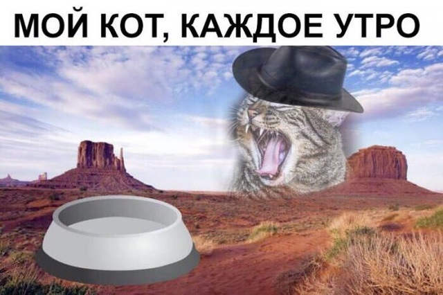 Нестандартный юмор с просторов сети
