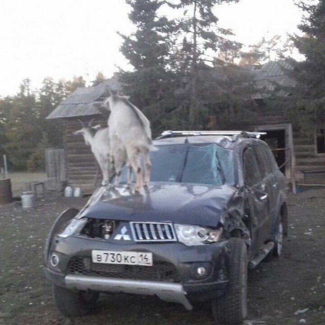 Необычные фотографии с просторов нашей бескрайней