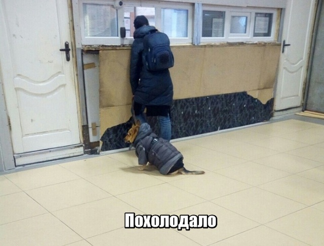 Прикольные картинки