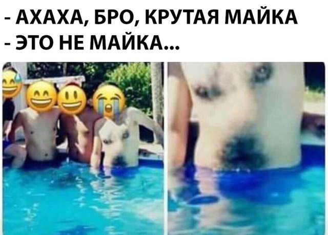 Прикольные картинки
