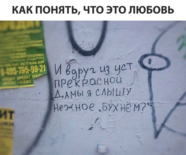 Прикольные картинки