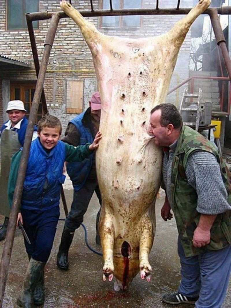 Чудики из социальных сетей