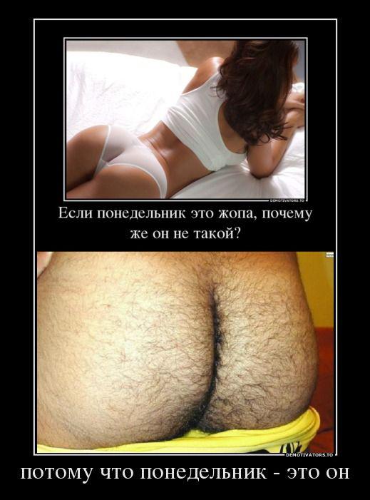 Демотиваторы