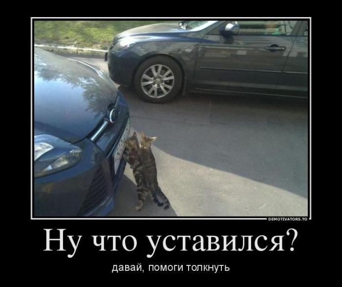 Демотиваторы