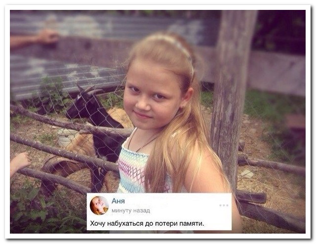 Смешные комментарии из социальных сетей