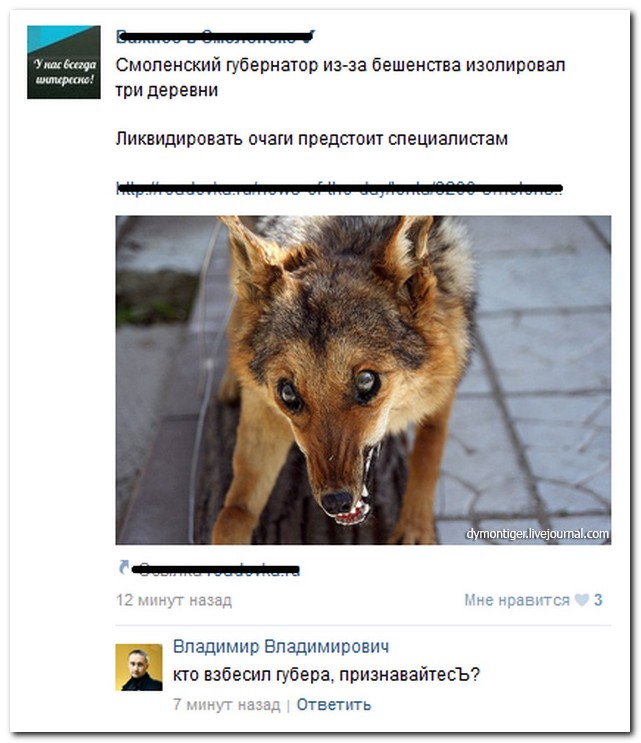 Смешные комментарии из социальных сетей