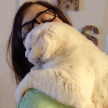 Безухий кот обрел любящую хозяйку