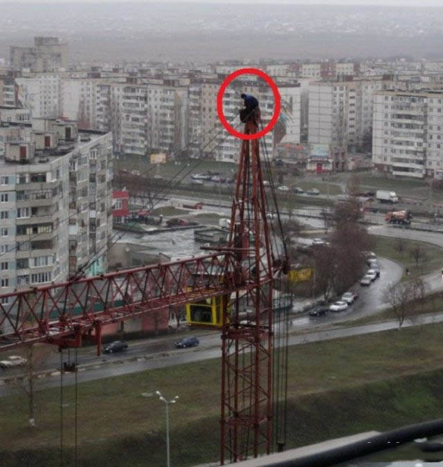 Так много идиотов в этом мире