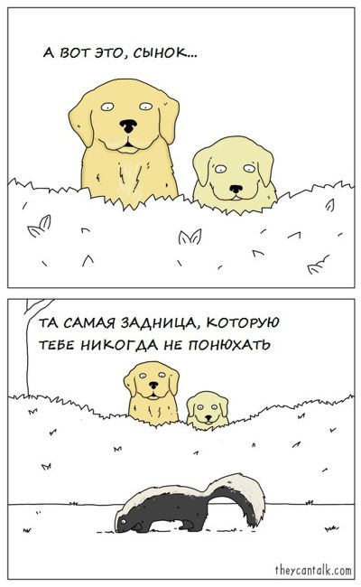 Смешные комиксы