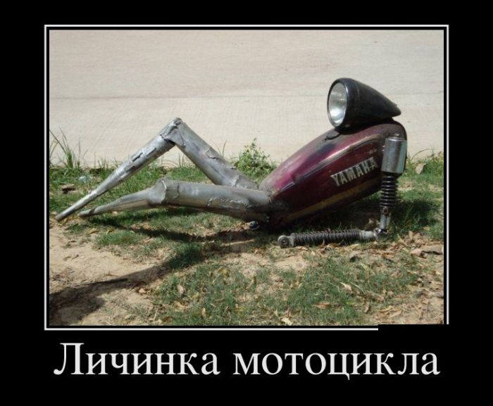 Демотиваторы