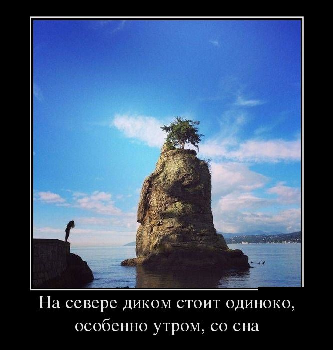 Демотиваторы