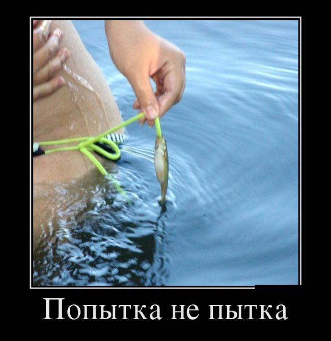 Демотиваторы