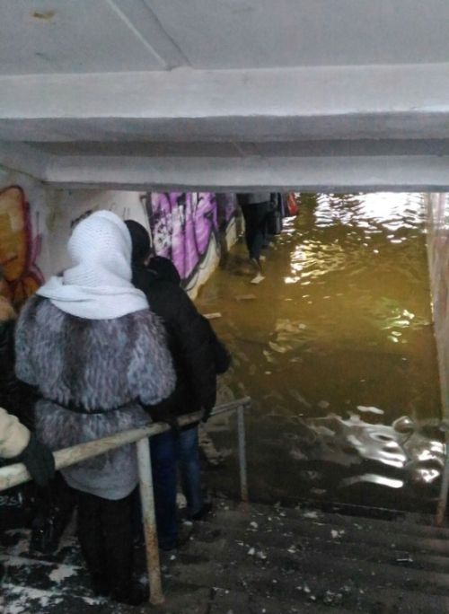 Прикольные картинки