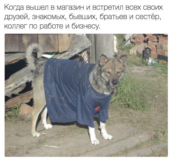 Прикольные картинки