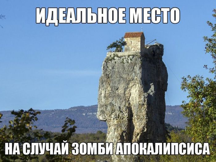 Прикольные картинки