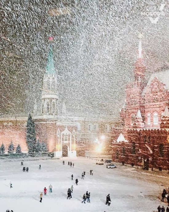 Прикольные картинки