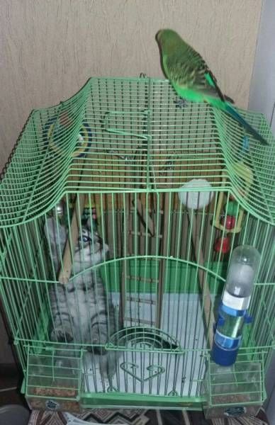 Прикольные картинки