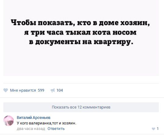 Свежий юмор из соцсетей