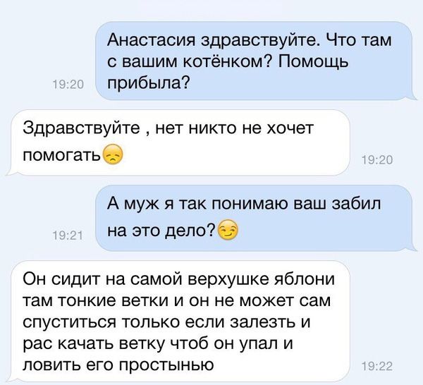 Свежий юмор из соцсетей
