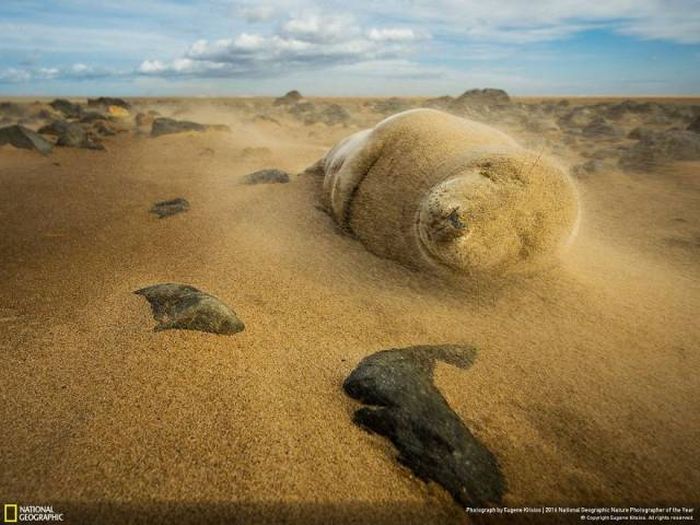 Лучшие работы фотоконкурса National Geographic Nature Photographer 2016