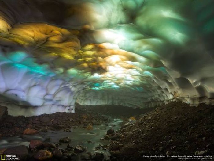 Лучшие работы фотоконкурса National Geographic Nature Photographer 2016