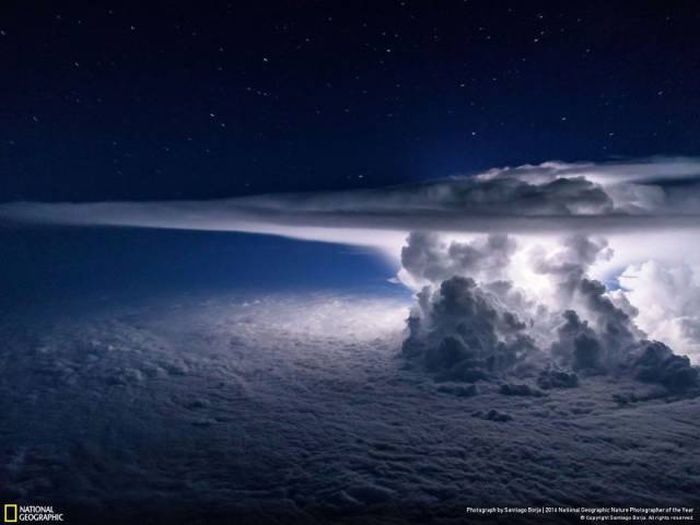 Лучшие работы фотоконкурса National Geographic Nature Photographer 2016