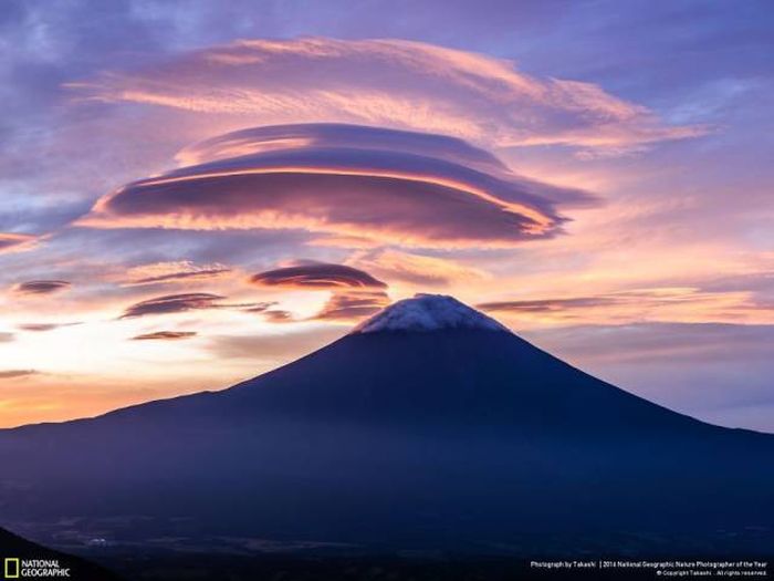 Лучшие работы фотоконкурса National Geographic Nature Photographer 2016