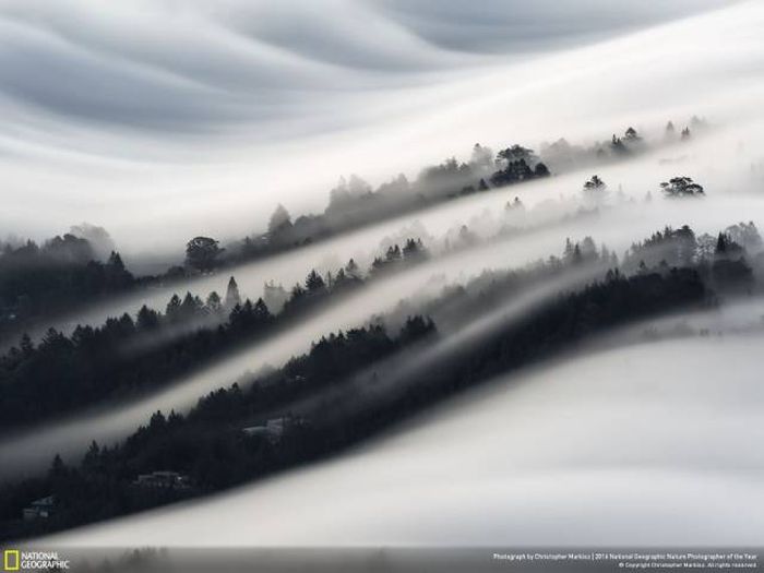 Лучшие работы фотоконкурса National Geographic Nature Photographer 2016