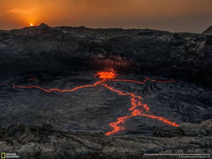 Лучшие работы фотоконкурса National Geographic Nature Photographer 2016