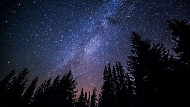 Любопытная статистика Любопытная статистика