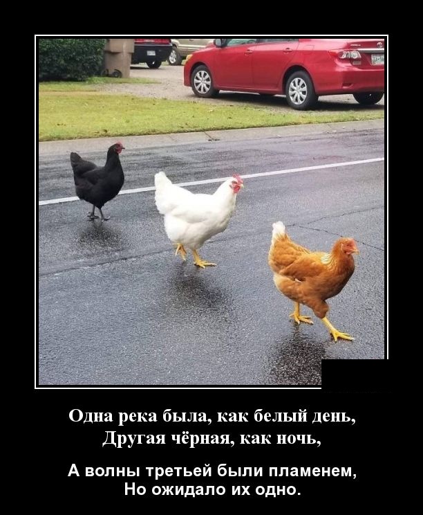 Демотиваторы