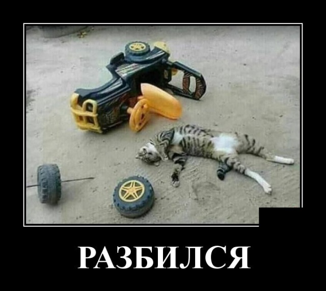 Демотиваторы