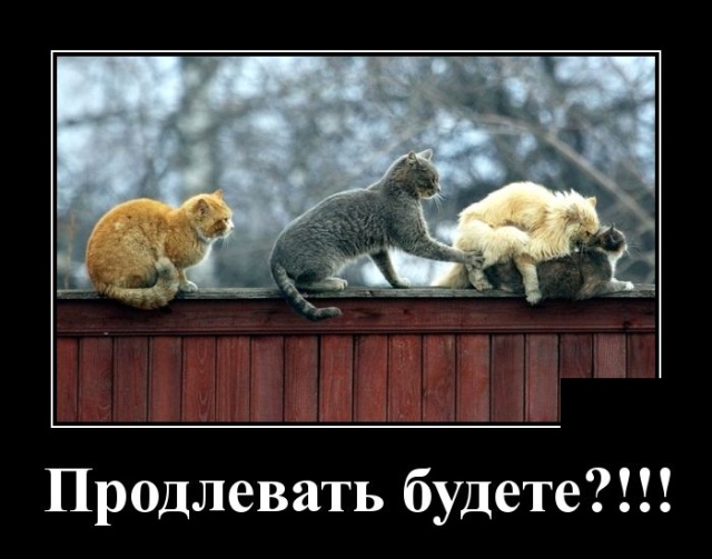 Демотиваторы