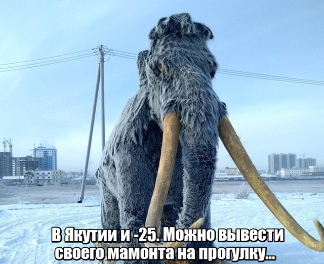 Прикольные картинки