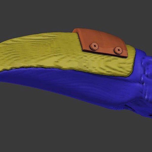 Раненому тукану напечатали новый клюв на 3D-принтере