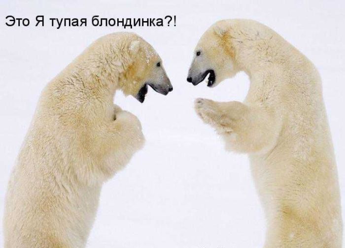 Прикольные картинки (64 фото)