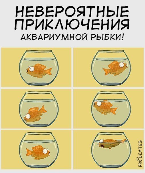 Смешные комиксы