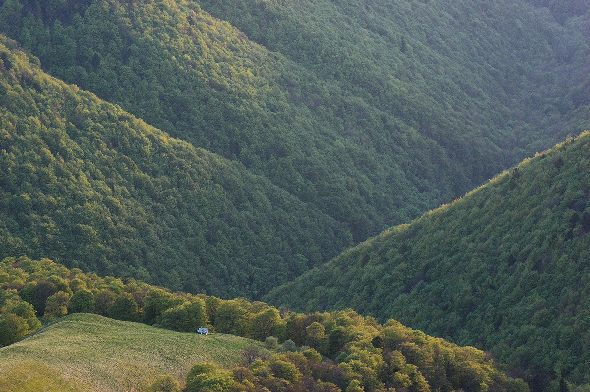 Боржава