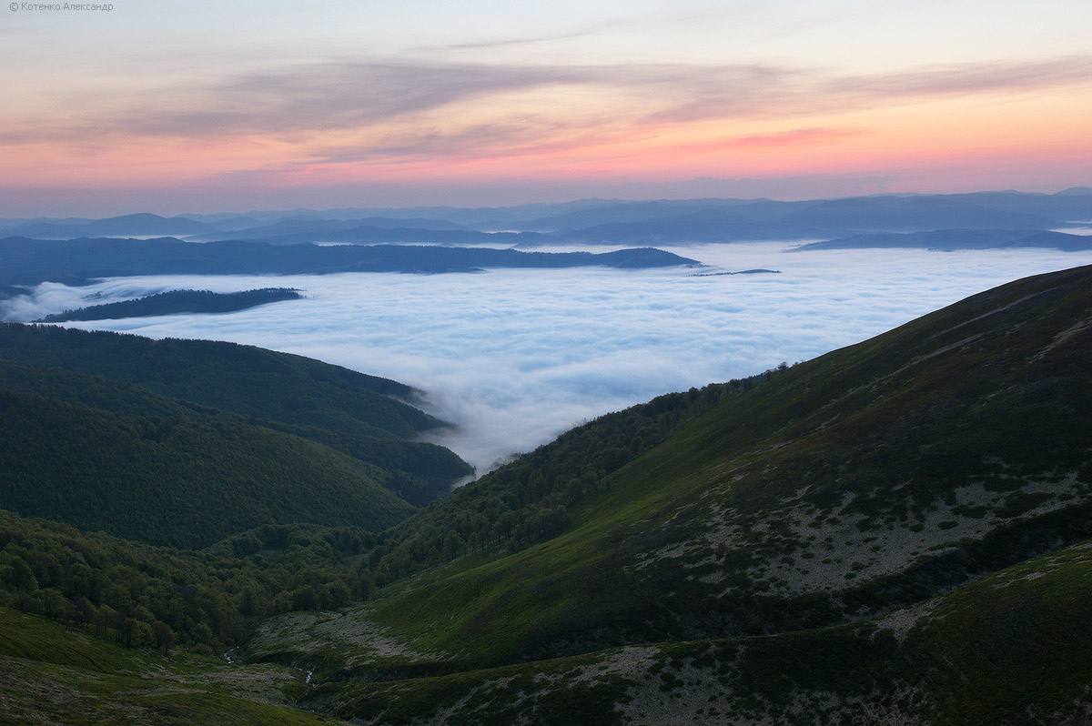 Боржава
