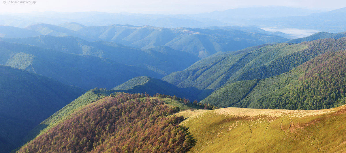 Боржава