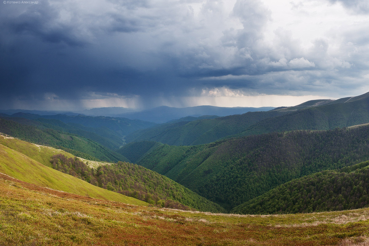 Боржава