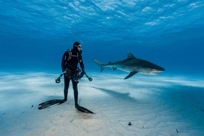 Лучшие фото журнала National Geographic 2016 года