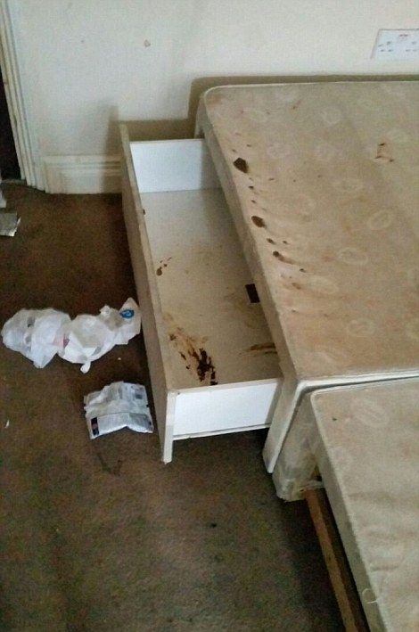 Мамаша с двумя детьми превратила арендованный дом в сортир