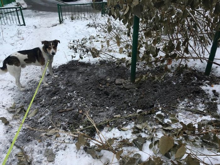 «Веселые» будни сегодняшних наркоманов