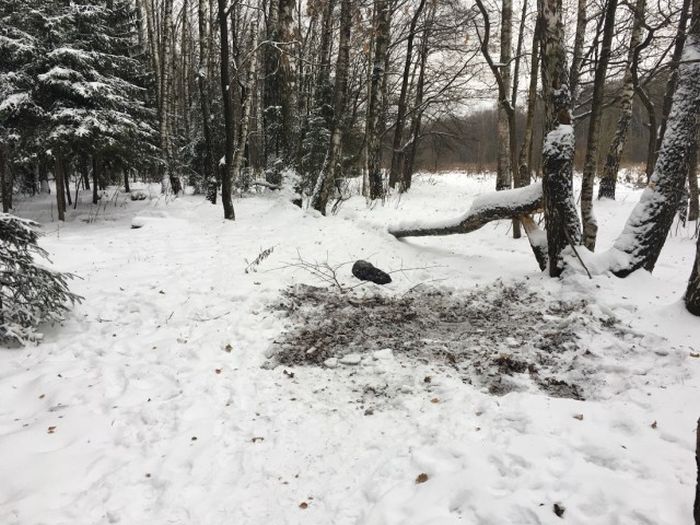 «Веселые» будни сегодняшних наркоманов
