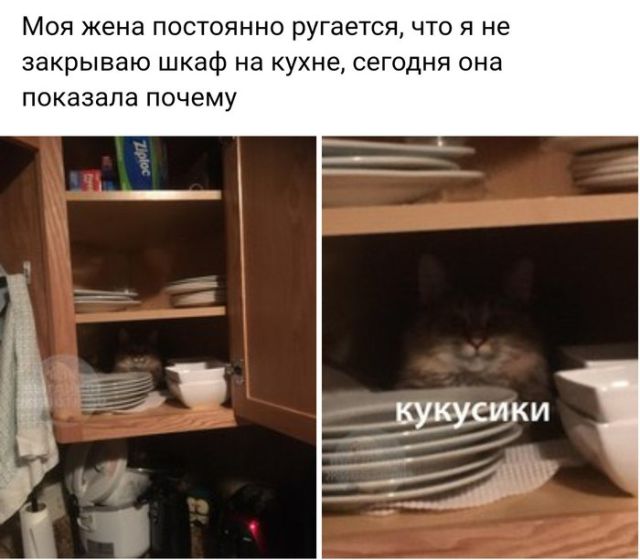 Прикольные картинки