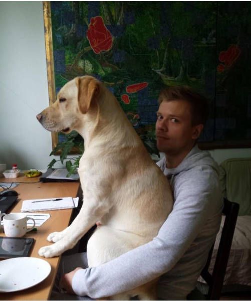 Прикольные картинки