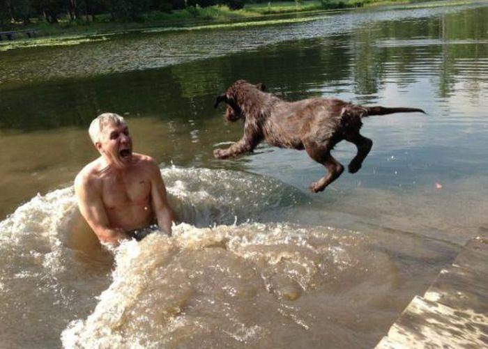 Прикольные картинки