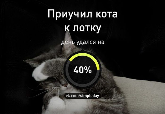 Когда день удался... (78 картинок)