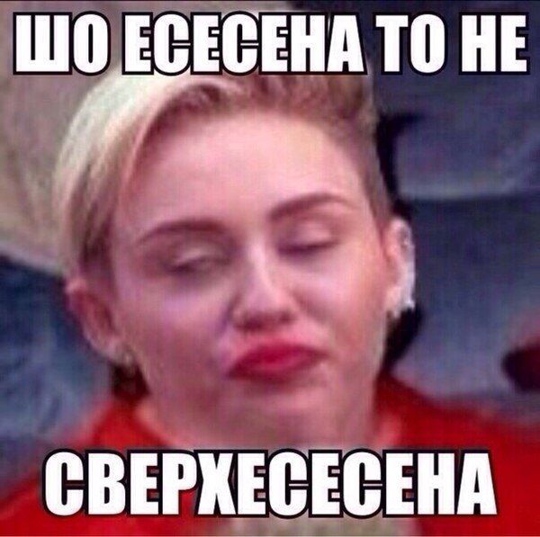 Порция картинок